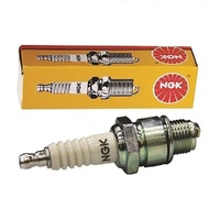 Lawnmower Spark Plug NGK BPR5EY